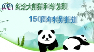 纪念发现大熊猫150周年特别报道